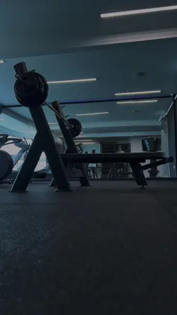 Treino 