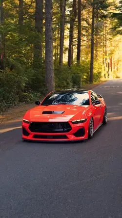 EDIT >>> CAR 