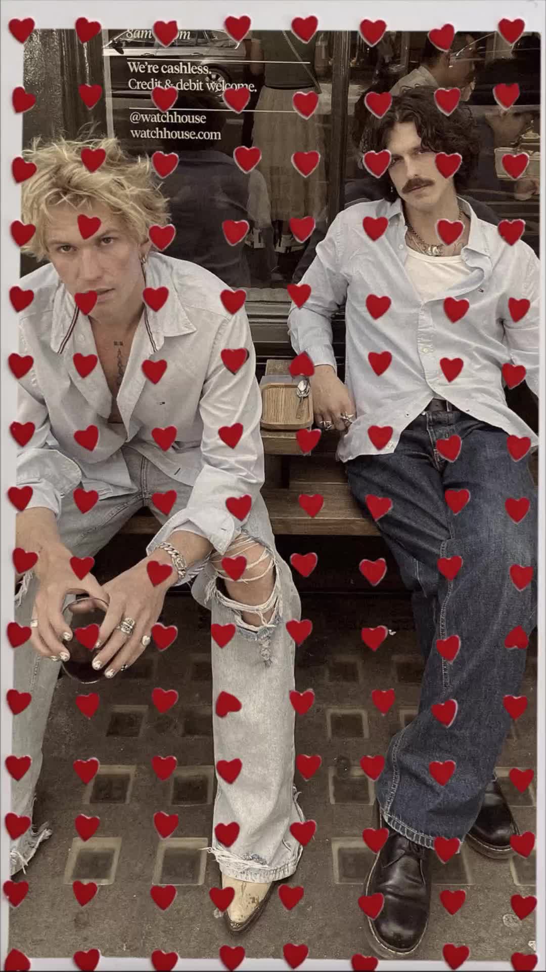 Cover Picture