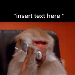 Monkey Calling