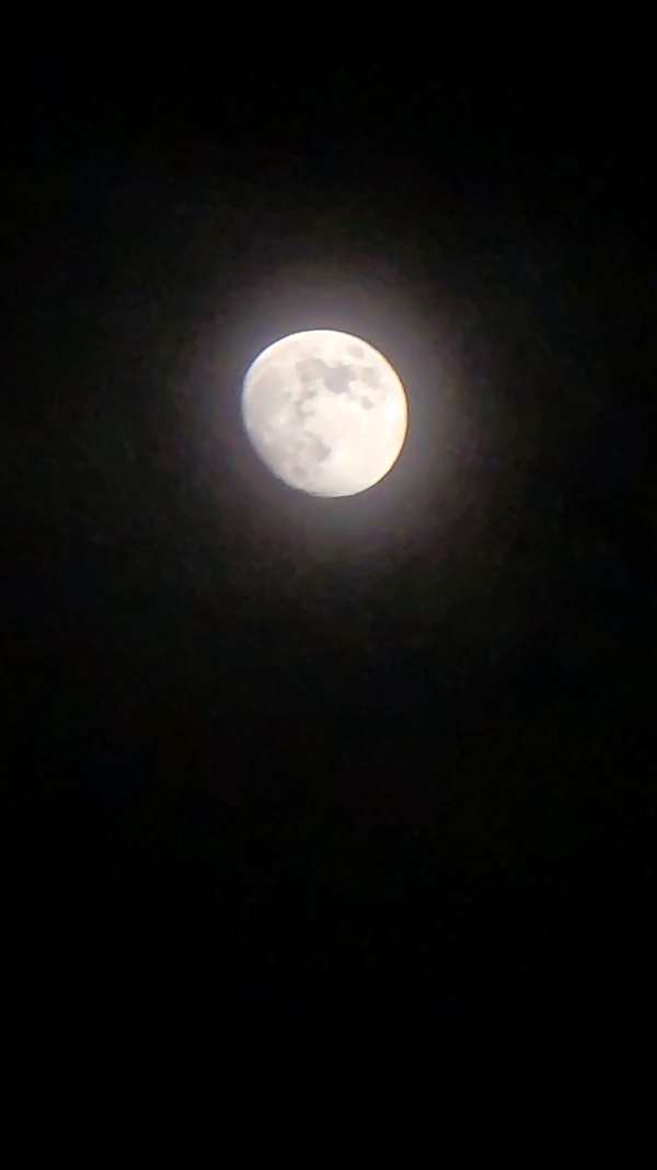 Citações Da Lua