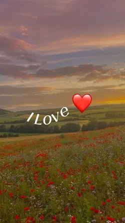 I love ❤️