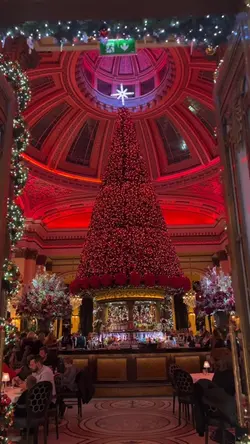 Merry christma