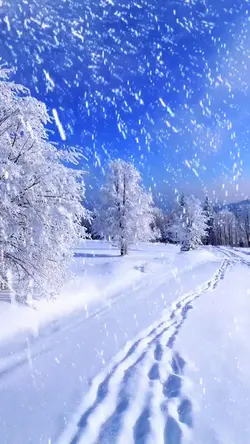 Winter snow