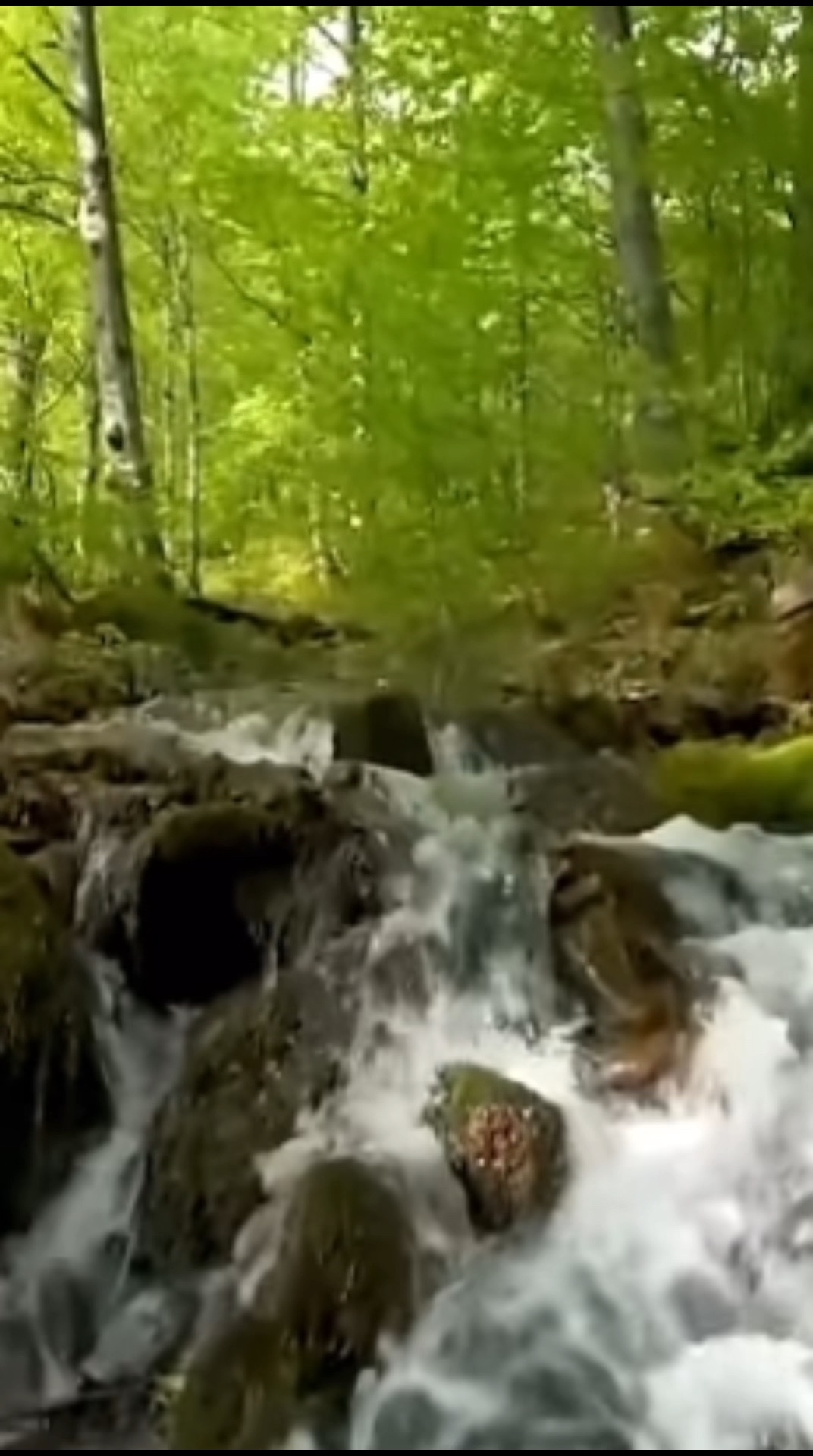 Ce n'est pas une nature incroyable