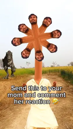 Indian Helicopte