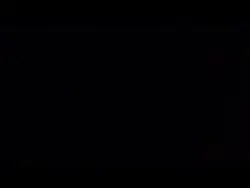 for mikewheelchair♿️