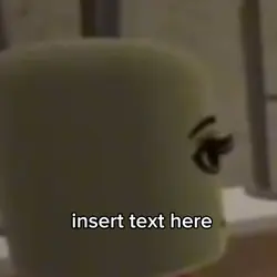 insert text here 