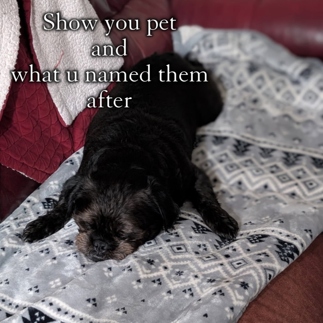 Named Pet After