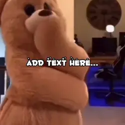 Bear