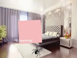 Spider!