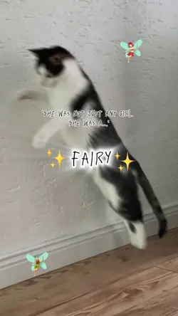 She was a fairy 