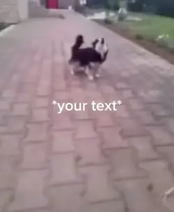 your text meme