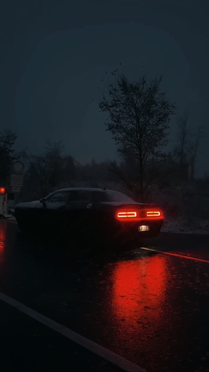 GANGSTER 🕷️CAR🕸️