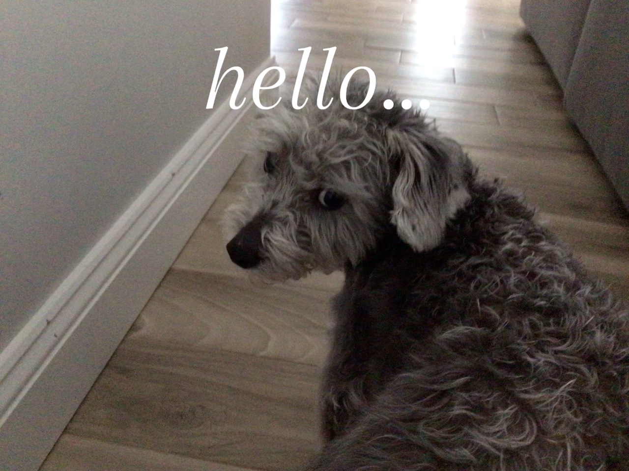 hello… its