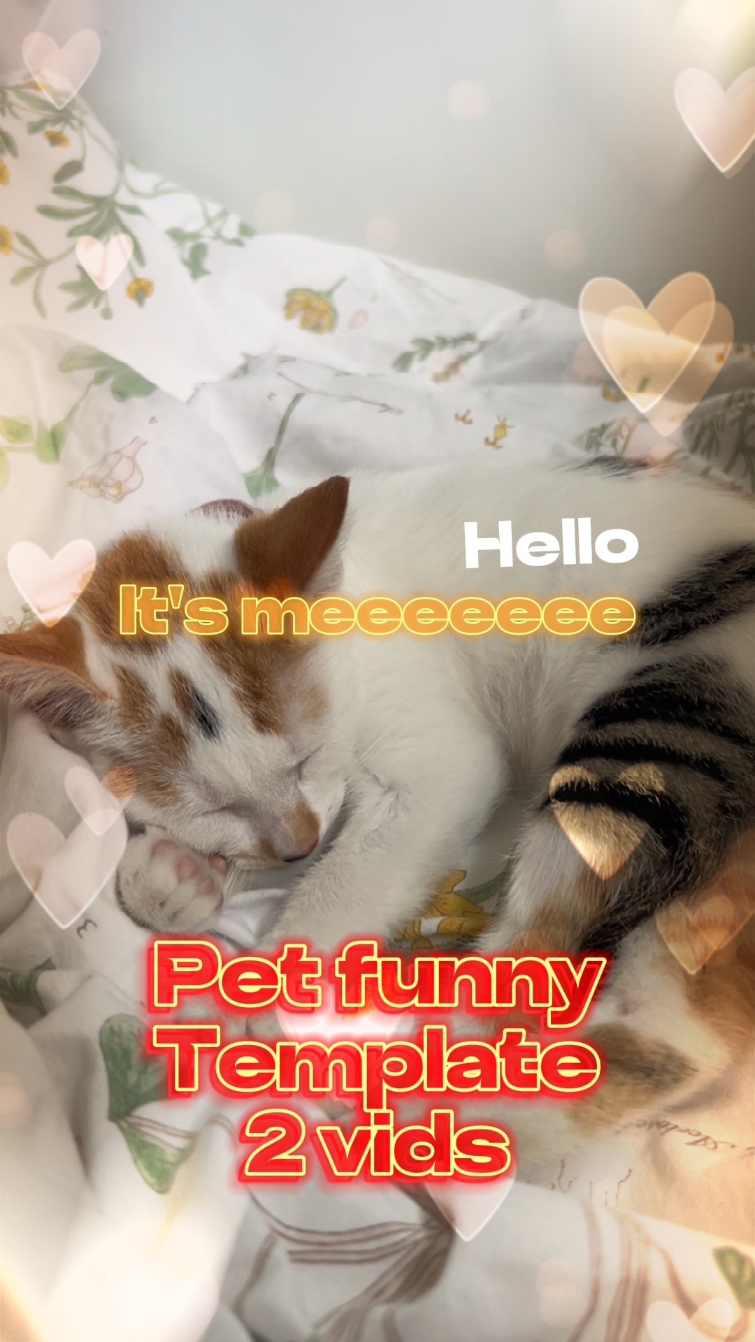 안녕하세요 meeeee입니다~