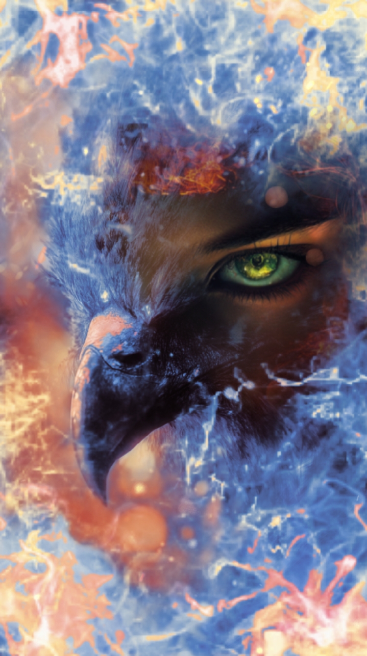 Cover Picture