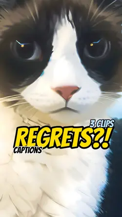 Regret?!