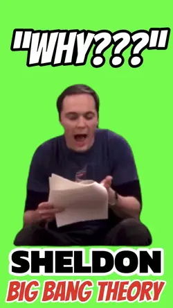 SHELDON ASKS WHY?