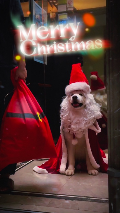 Feliz Natal 