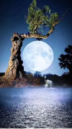 Moon light