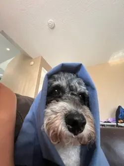 I see dead people. 😏