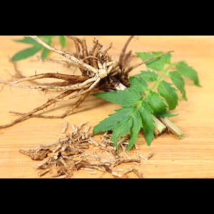 Valerian Root Benefi