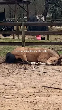 the air I breathe❤️