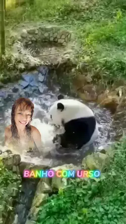 URSO PANDA