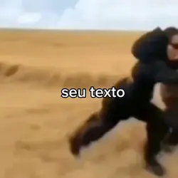 seu texto
