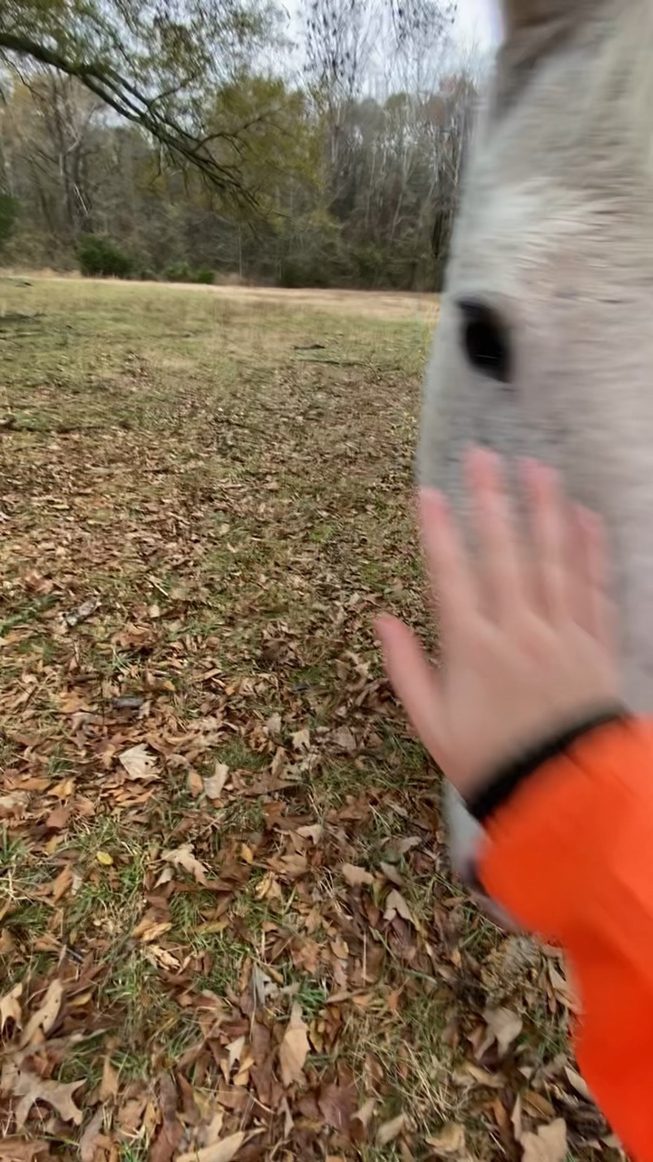 He needs a name