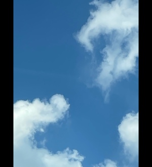 개 이름