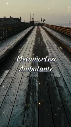 MetamorfoseAmbulante