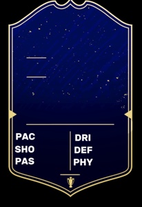 Fifa card