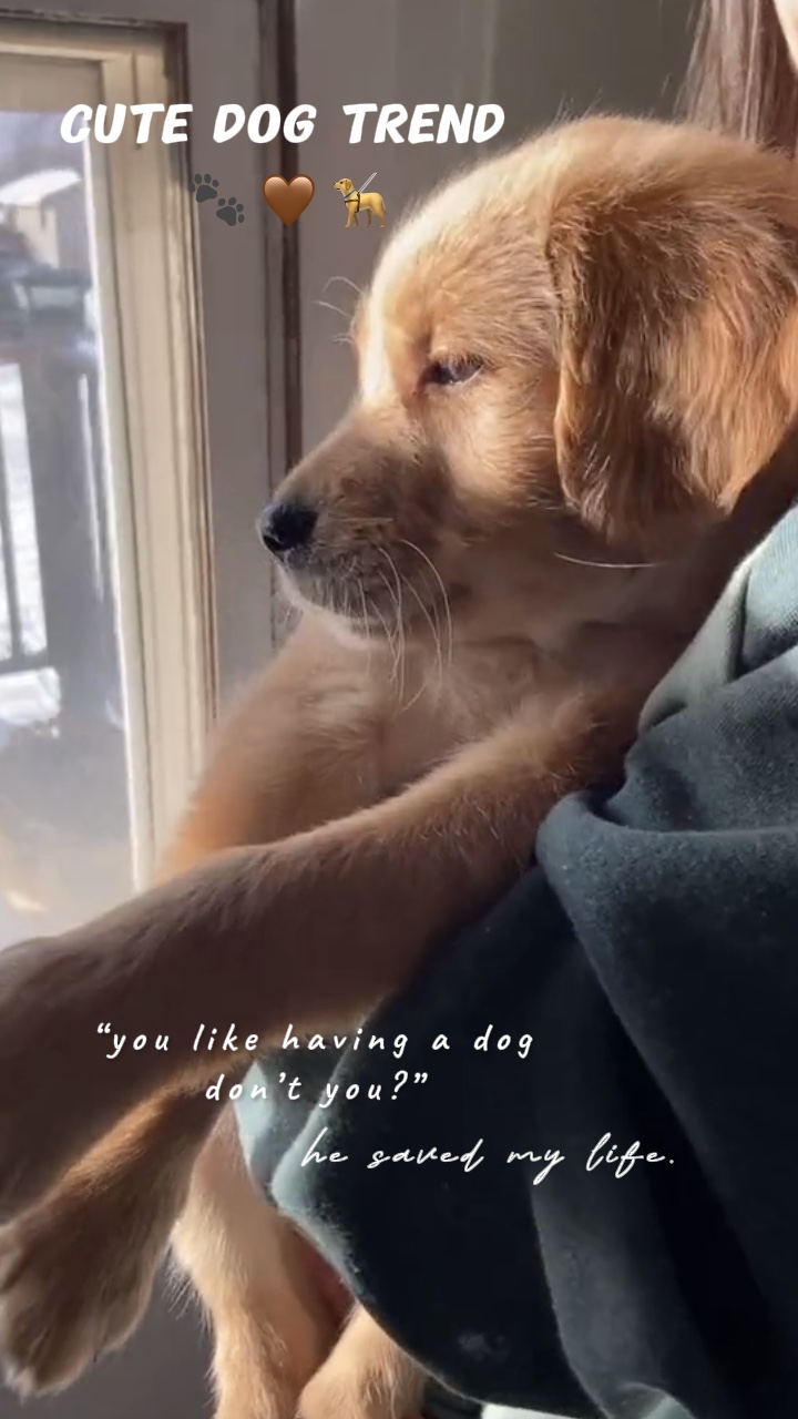 Me salvó la vida. 🐾