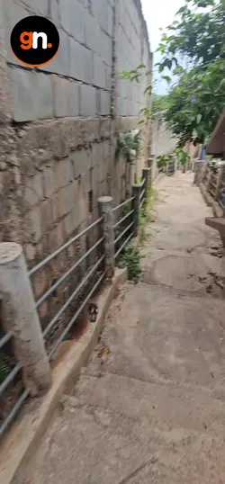 auxiliar  de escravo