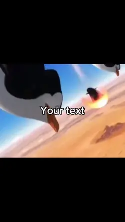 Penguins plane😱