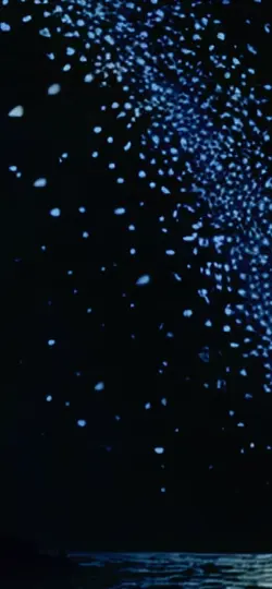 Brillo lanco 🤍❄️