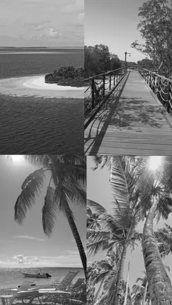 B/W to Color SloMo