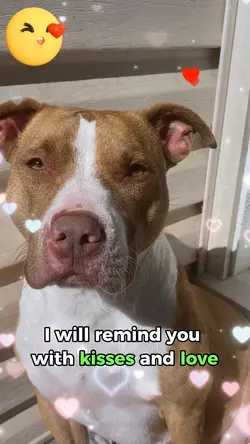I LOVE YOU🐶❤️