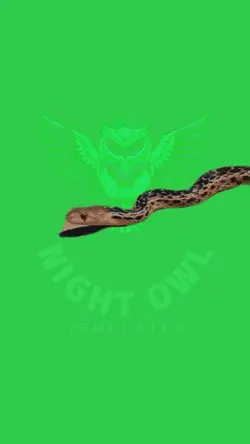 Dancing Snake 