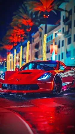 11 fotos transição