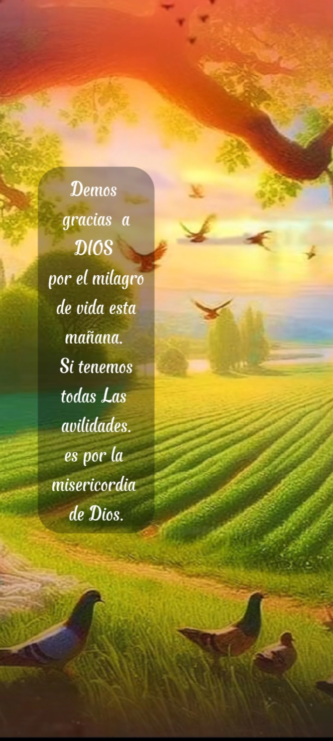 Gracias a Dios