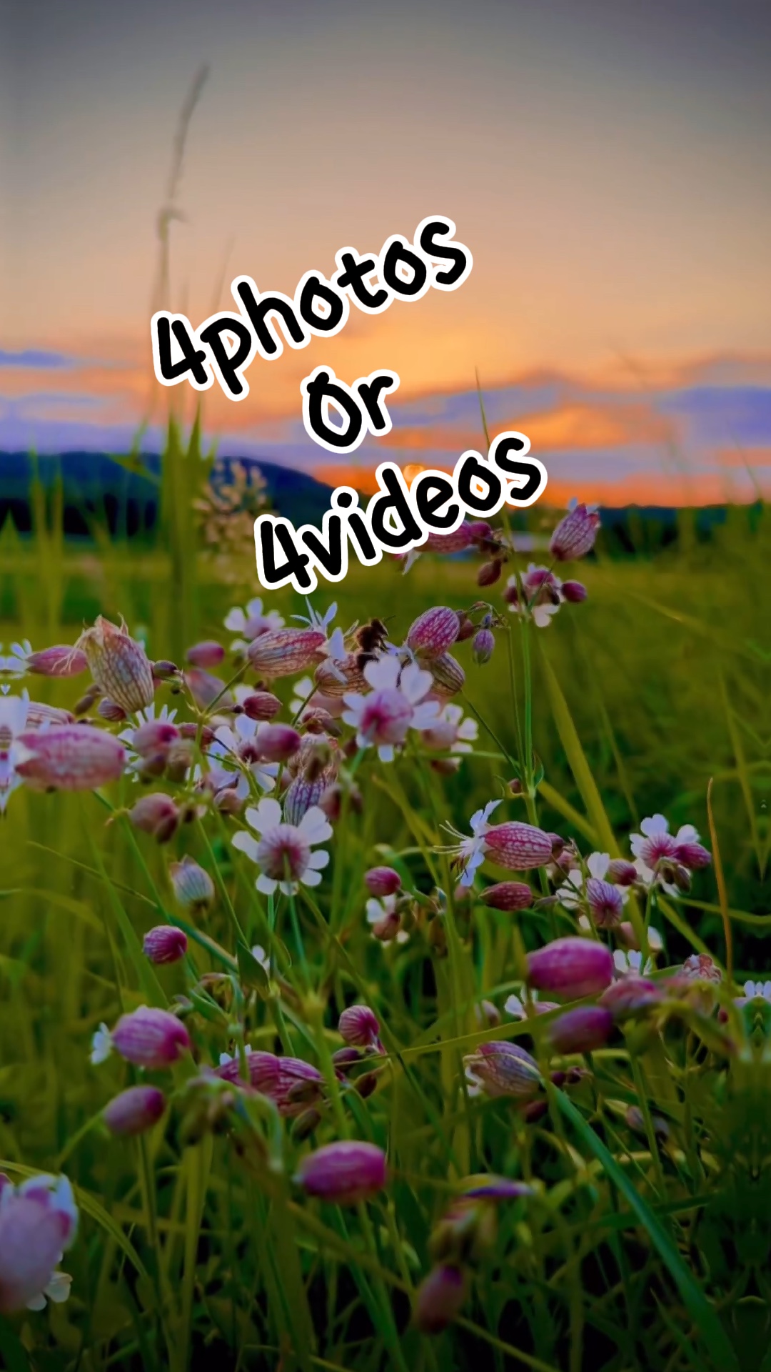 4photos/4videos