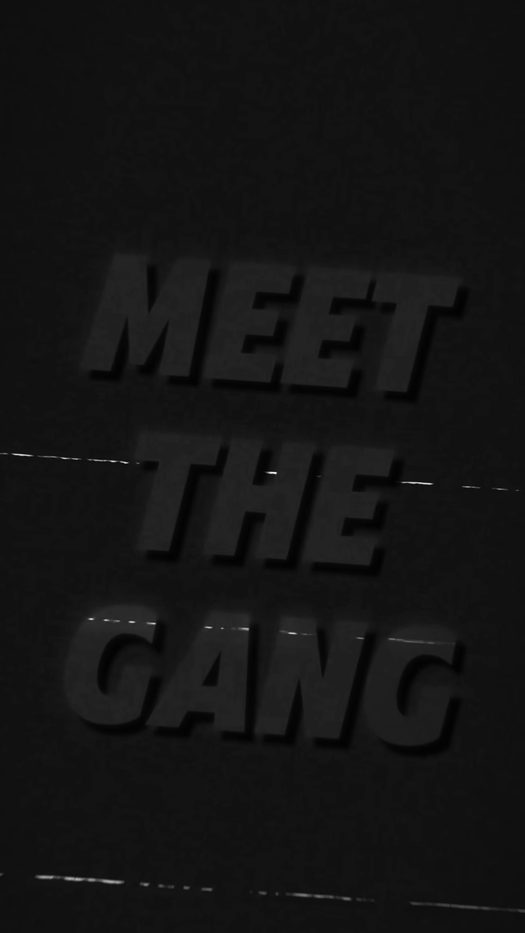 Meet The Gang 