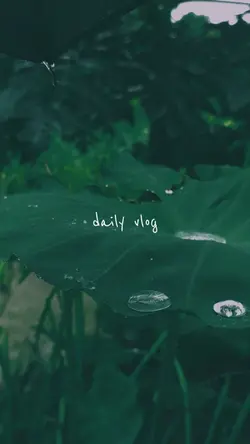 daily vlog β¨π 8 clip