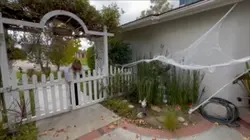 Scary film movie