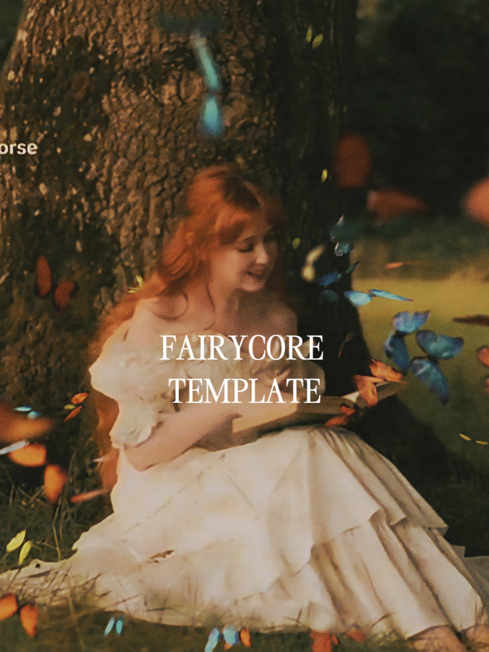 FAIRCORE TEMPLATE
