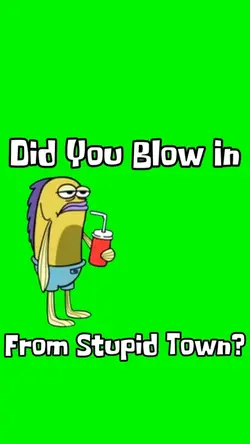 Stupid Town