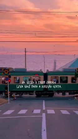 O trem da vida